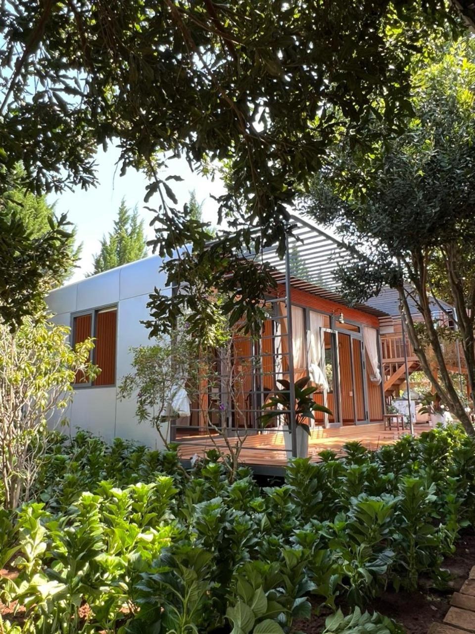 Mongo Garden Βίλα Νταλάτ Εξωτερικό φωτογραφία